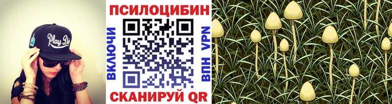 Псилоцибиновые грибы прущие грибы магазин наркотиков Заринск