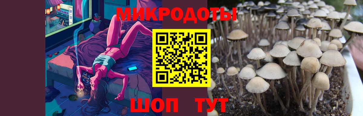 Галлюциногенные грибы мухоморы Заринск